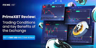 Enhance Your Trading Experience with Telegram Bot PrimeXBT Enhance Your Trading Experience with Telegram Bot PrimeXBT