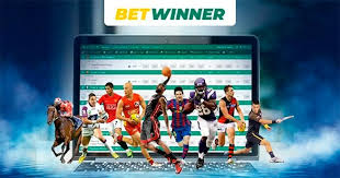 Reliable BetWinner Your Ultimate Betting Companion