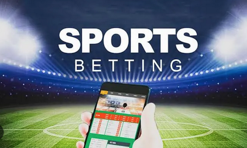 Discovering the Excitement of Betting with Dafa Bet
