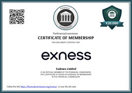 Unlocking the Potential of Exness Copy Trading